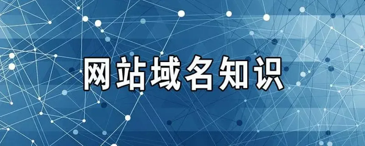 企业域名未雨绸缪，提前分析域名的注册现状