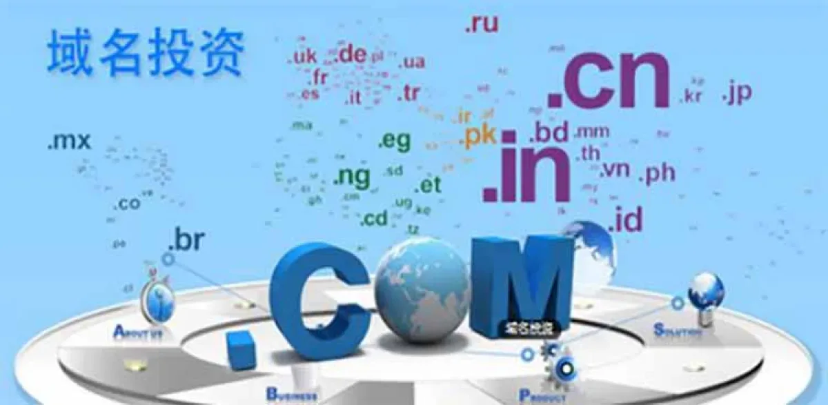 蒙特塞拉特的国家代码域名.MS域名介绍